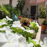 Villa Maria House