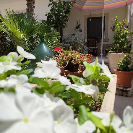 Villa Maria House